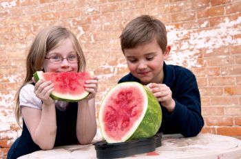 Gary Geier's Melon Mate takes the wobble out of slicing watermelons.