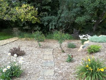 Butterfly bushes frame the walkway of the Schoenbecks' garden.