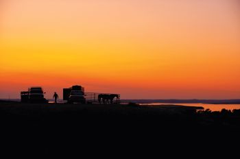 Blaine Kenobbie tends to his horses during evening camp at the site of old Fort Bennett in north Stanley County.