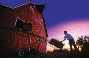 Marshall McNamara works into the night on his family's rural Hazel farm.