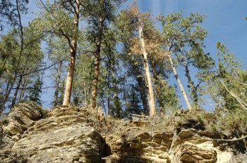 The mouth of Spearfish Canyon can be seen from the top of Rose Hill Cemetery. Photo by Bernie Hunhoff.