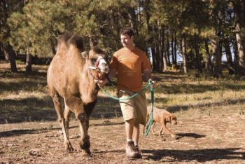 Mike Welchnyski oversees the care of hundreds of animals at the <a href='http://www.spiritofthehillssanctuary.org' target='_blank'>Spirit of the Hills Sanctuary</a> in Spearfish. Several animals are used for a living nativity each Christmas season in the sanctuary's barn. <i>South Dakota Magazine</i> photo.