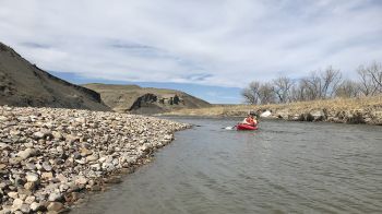 You'll see wildlife aplenty on this little-traveled stretch of the Cheyenne. Just watch out for barbed wire and sandbars.