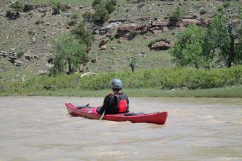 Pelicans were an unexpected surprise while paddling the Cheyenne River.